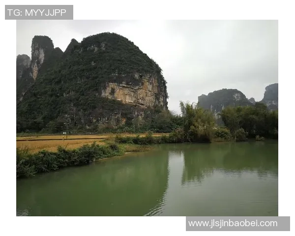 《全球足球球星传奇记录大全:从进球数到荣誉成就的巅峰对决》 《全球足球球星传奇记录大全:从进球数到荣誉成就的巅峰对决》